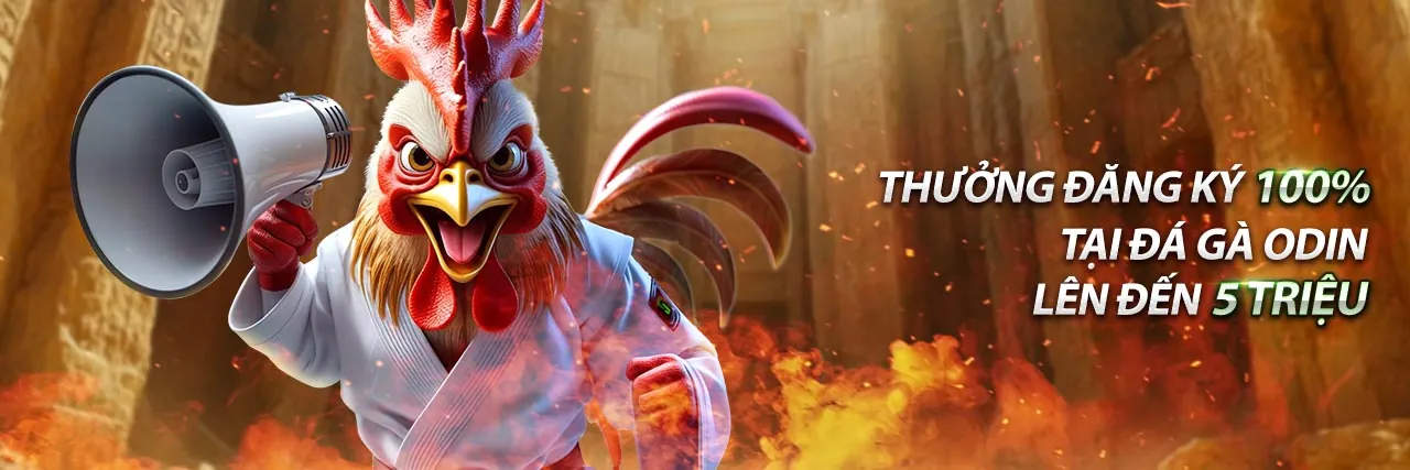 Đá gà trực tuyến qh8888 với những trận đấu kịch tính